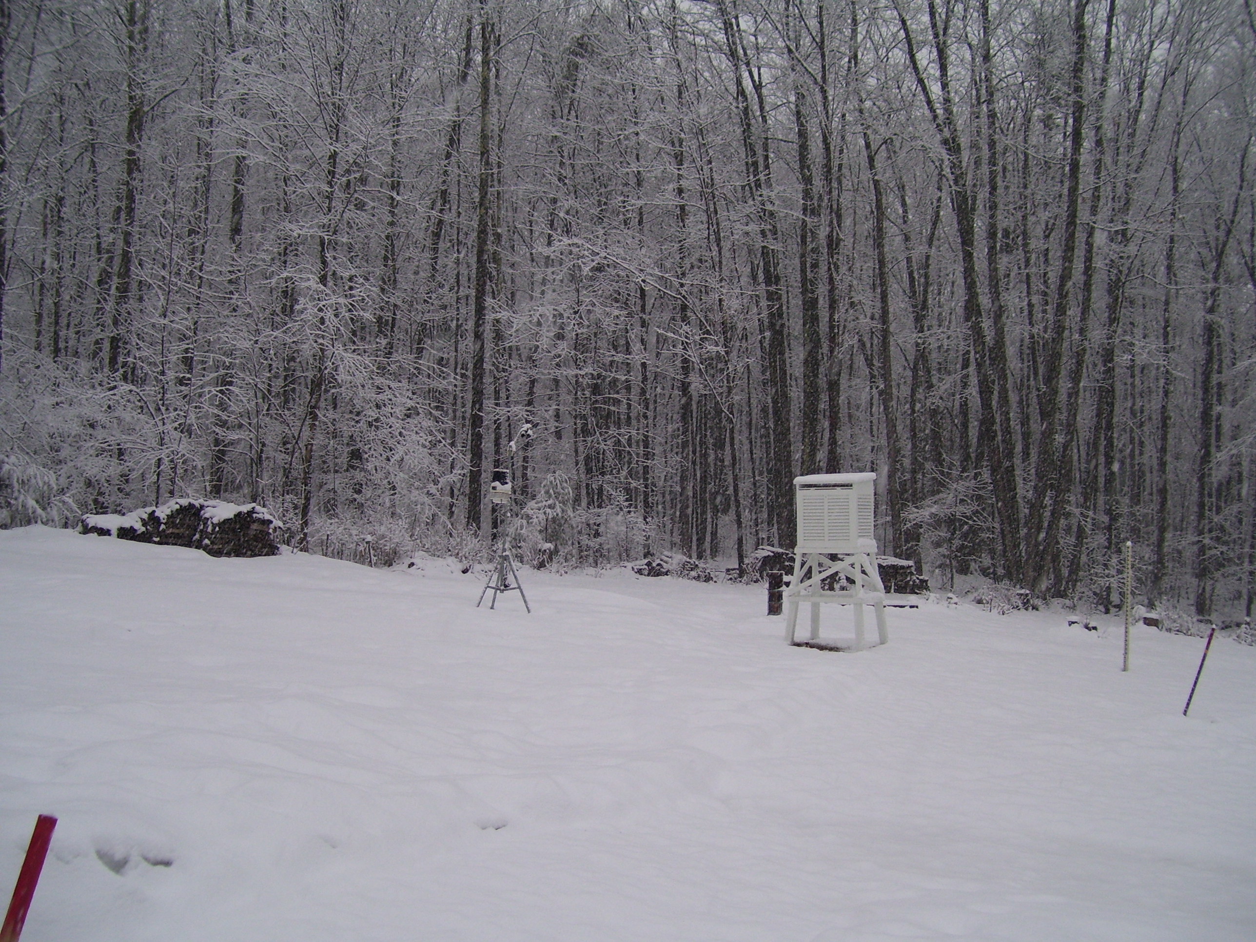 Spring 2008